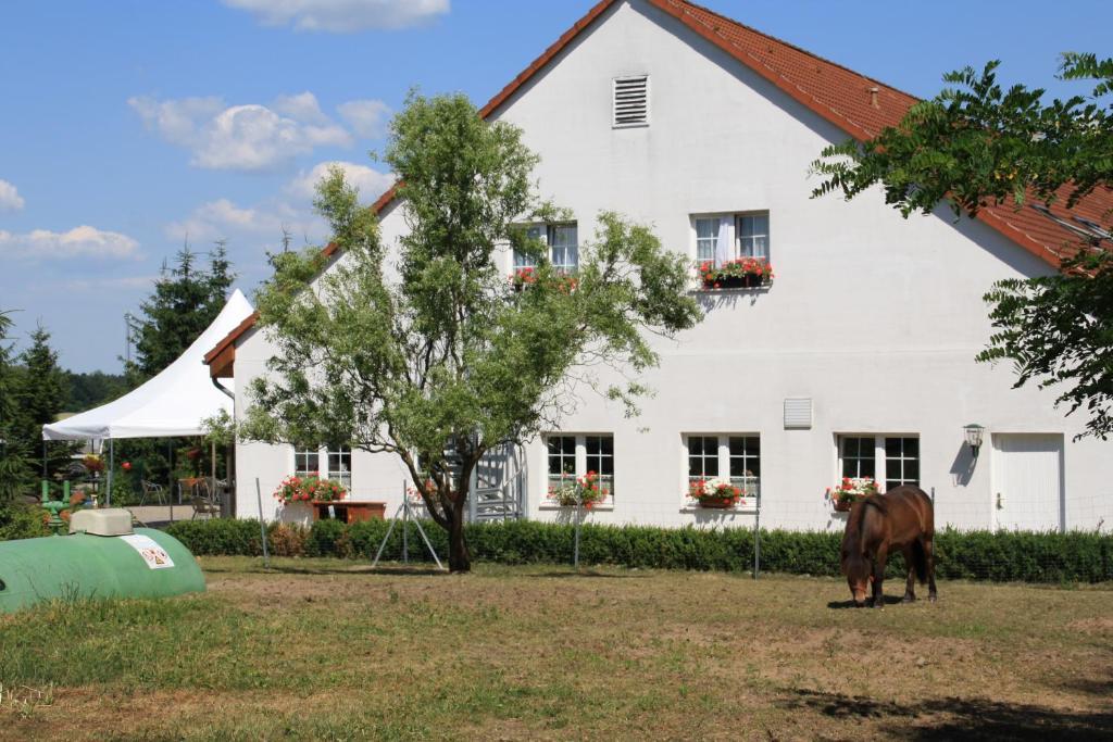 Hotel-Pension Am Muehlberg Lubbenau Ruang foto
